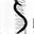 Double helix intertwining with lifestyle factors